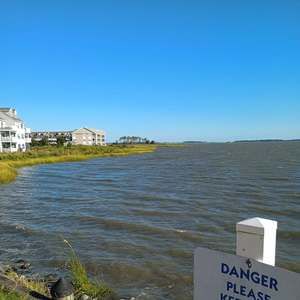 Meet your Posher, Terri